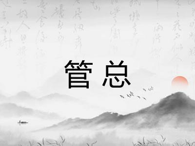 管总