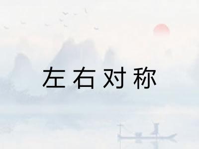 左右对称