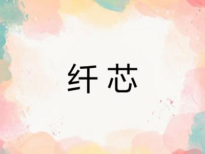 纤芯