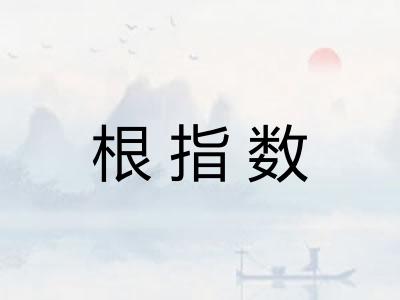 根指数